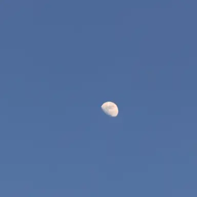 Profile image of 행크