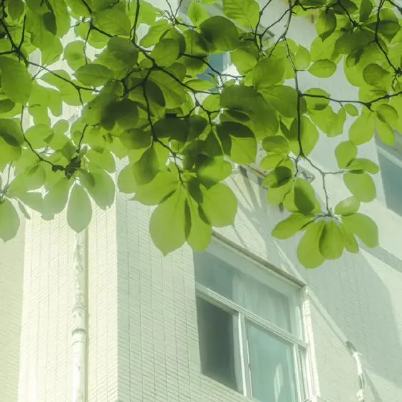 ii-ll의 내맘대로