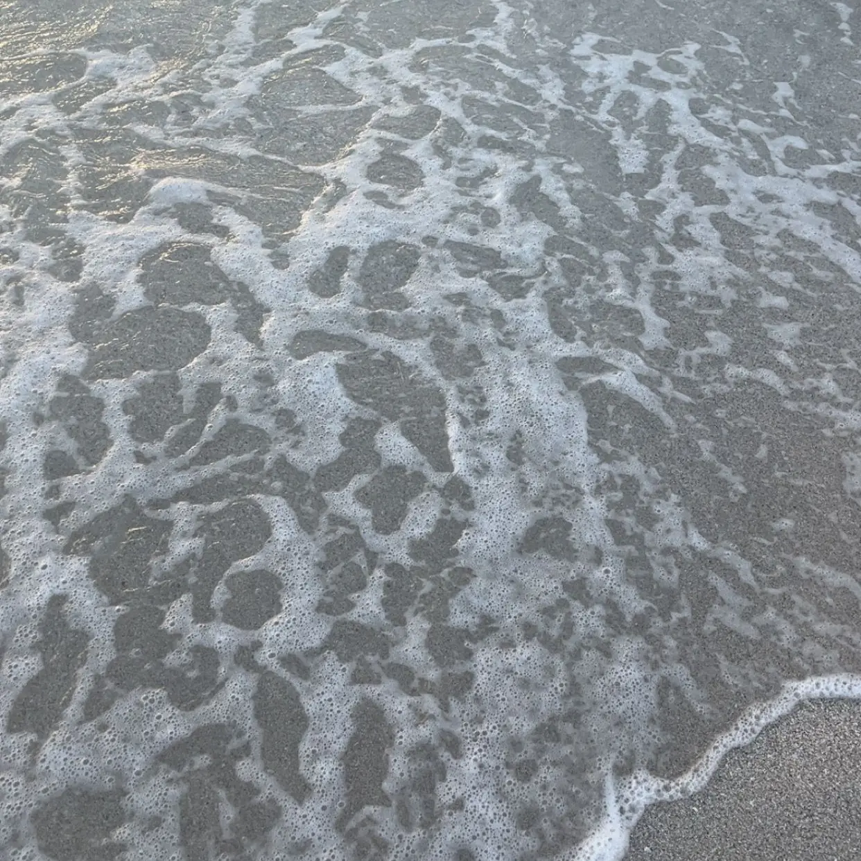 ShortScoop5739의 Isaiah Lincoln