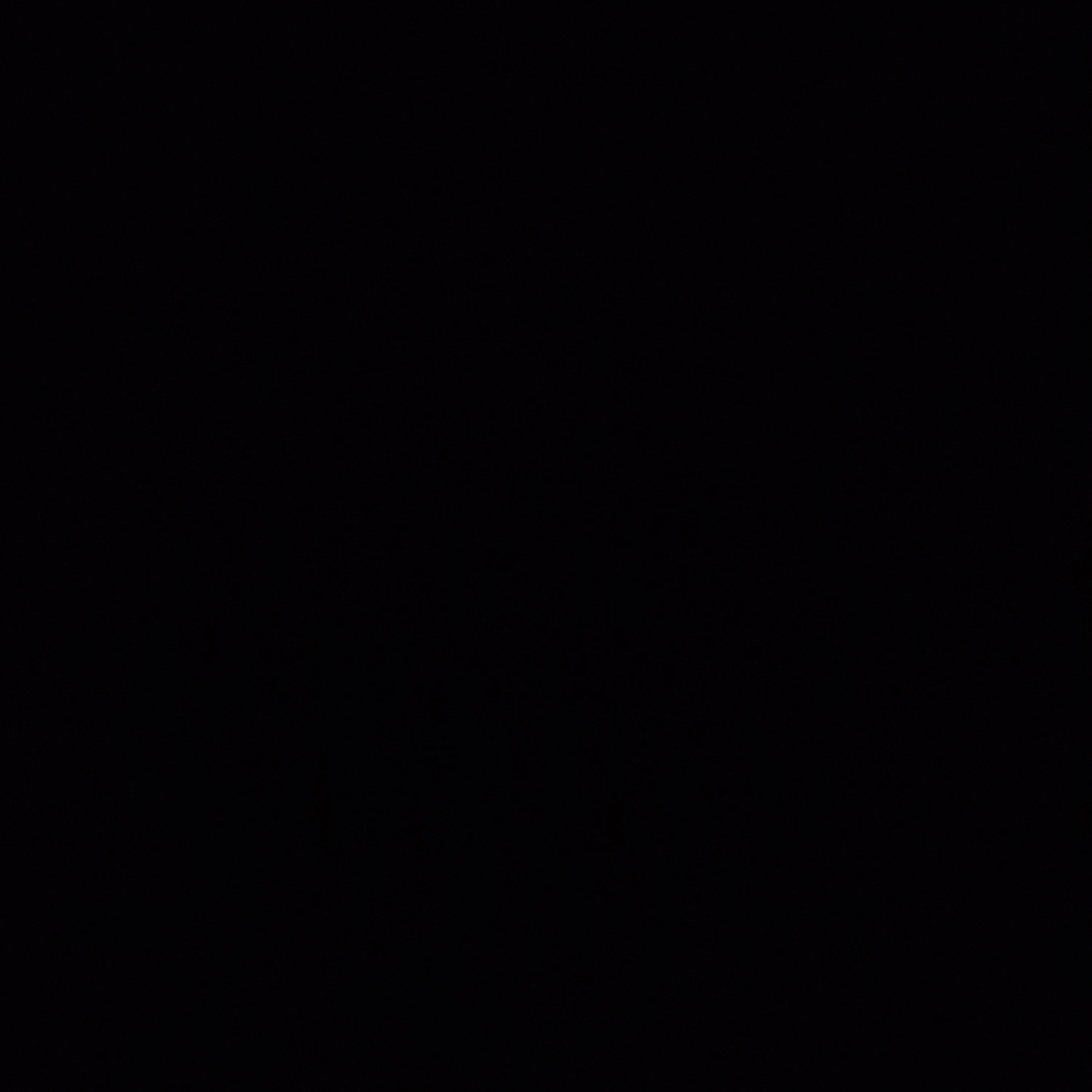 호시나 소우시로