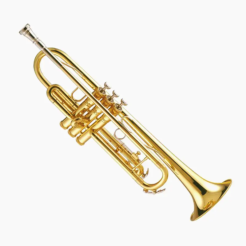 malatangcomesoutofmyDdongGgo의 🎺 