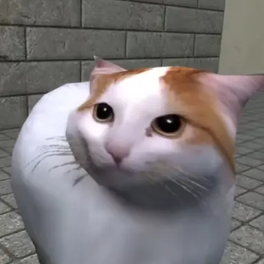 Profile image of 치피