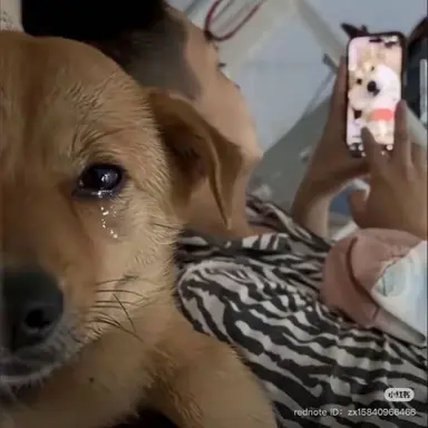 Profile image of 최승현