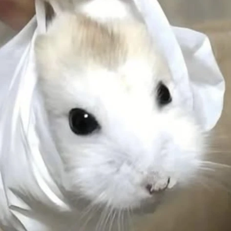 에루