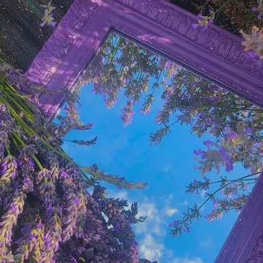 Profile image of 수경위