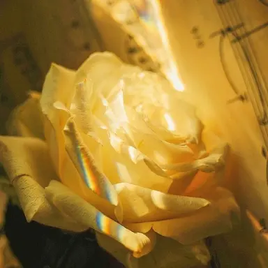 Profile image of 각경위