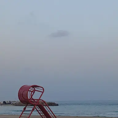 Profile image of 유다인