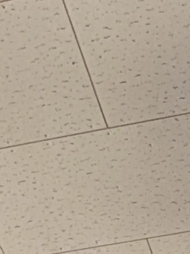 Kurosann의 いぎぎと香くん