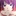 戦場ヶ原ひたぎ