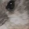 Profile image of なる