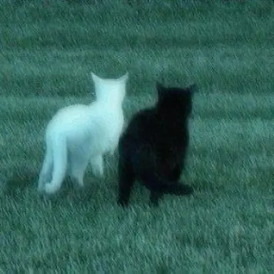 Profile image of 이하윤