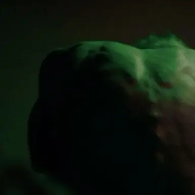 Profile image of Bruce Banner