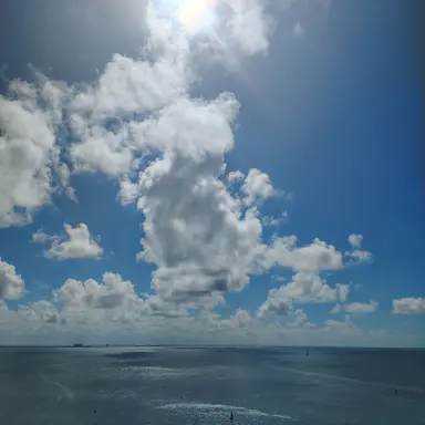 Profile image of Andrea