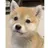 タロくん