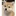 捨て子犬
