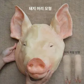 Profile image of 늑대2