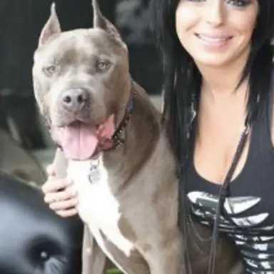 Profile image of Tiana Torres