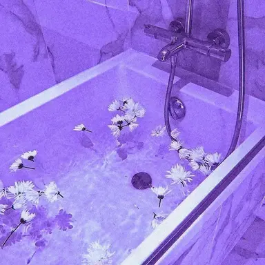 Profile image of 한노아