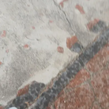 Profile image of 여우