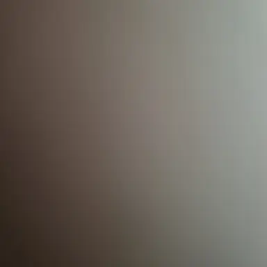 Profile image of 핝동민