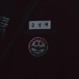 금성제