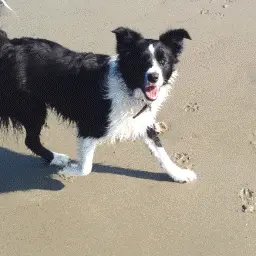 EarthyChain1627의 토르드 톰 에드