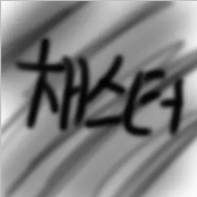 Profile image of 채스터