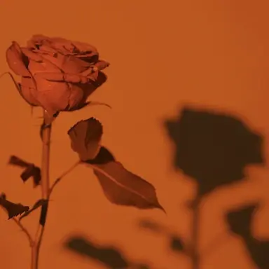 Profile image of 박영환