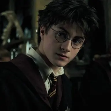 Profile image of Harry Potter