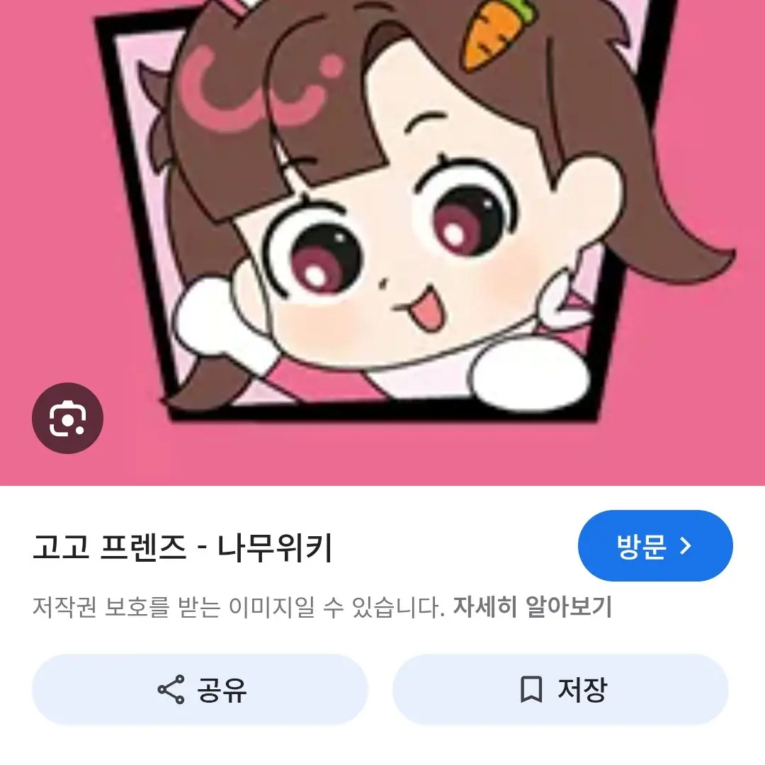 LMW1111LMW의 고고프렌즈