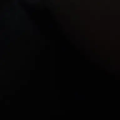 Profile image of 이상한설렘