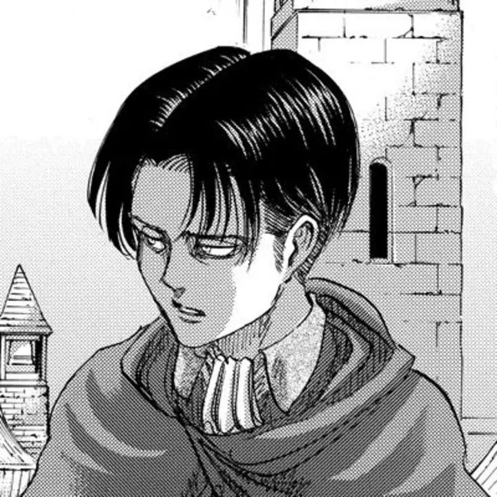 Levi_Ackerman_160cm의 리바이 아커만