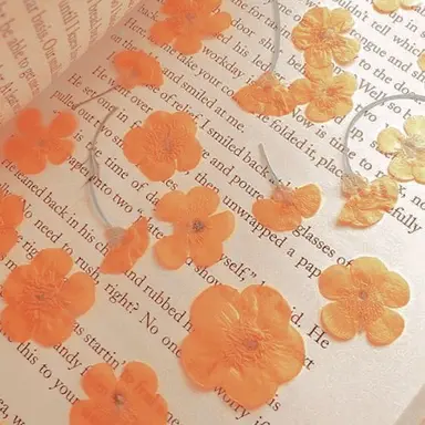 Profile image of 덕개