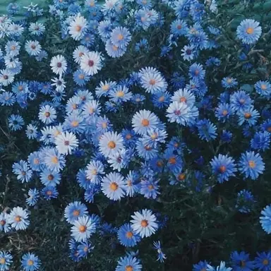 Profile image of 잠뜰