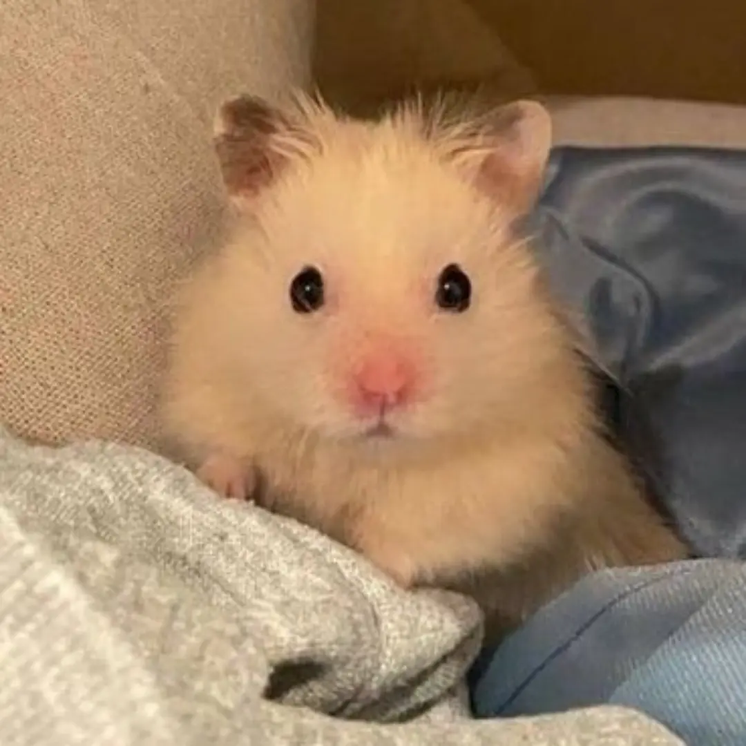 SKZ_ROOM_325의 한지성