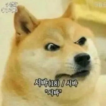 Profile image of 히노 사아키