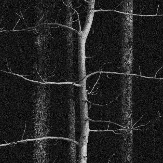 cxke.re의 孔民焕