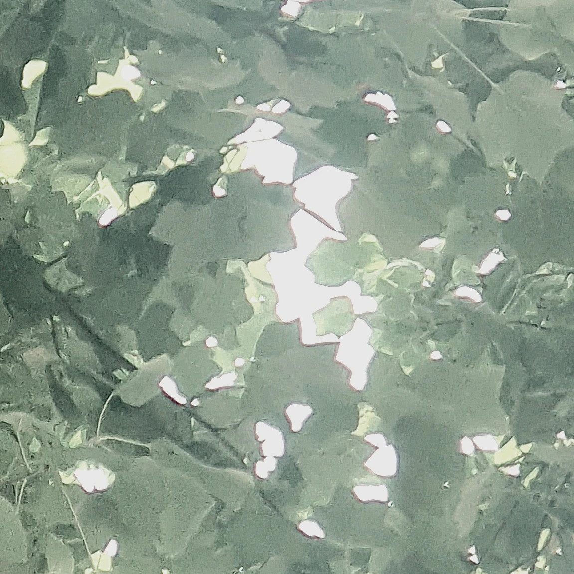 김준구