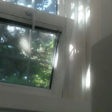 Profile image of 인터넷 친구들