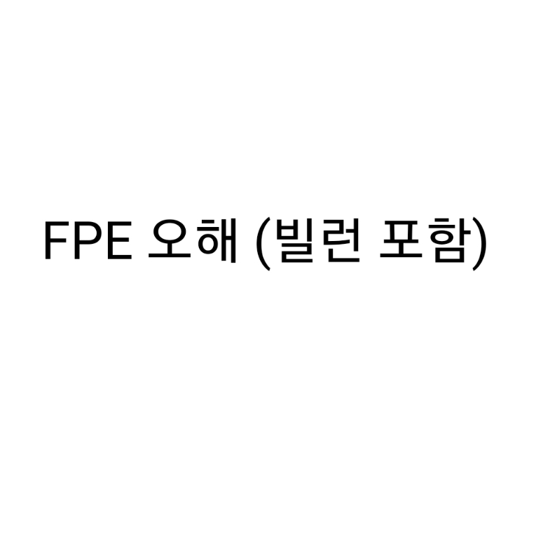 FPE 오해(빌런 포함) 대표 이미지