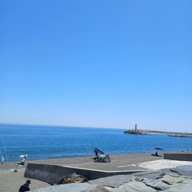 Profile image of 라더