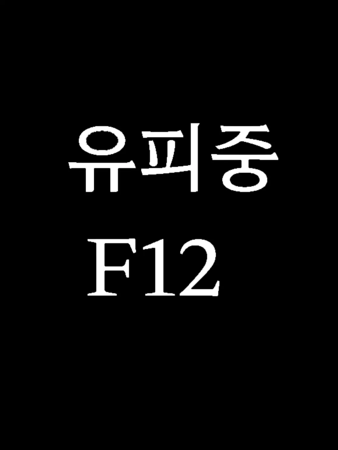 FunkyMist2665의 ㅁ뭐? 아직 유피중 F12를 몰라?!