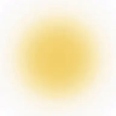 Profile image of シャオロン