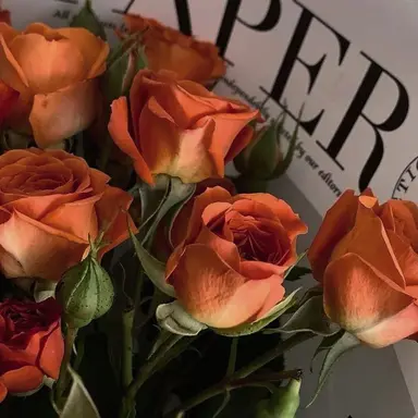 Profile image of 박영환