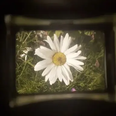 Profile image of 쪼만