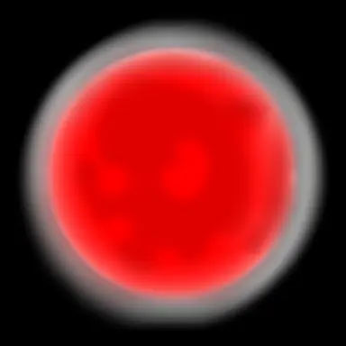 Profile image of 레태