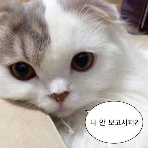 Ohji의 스팸은 짱이다!!