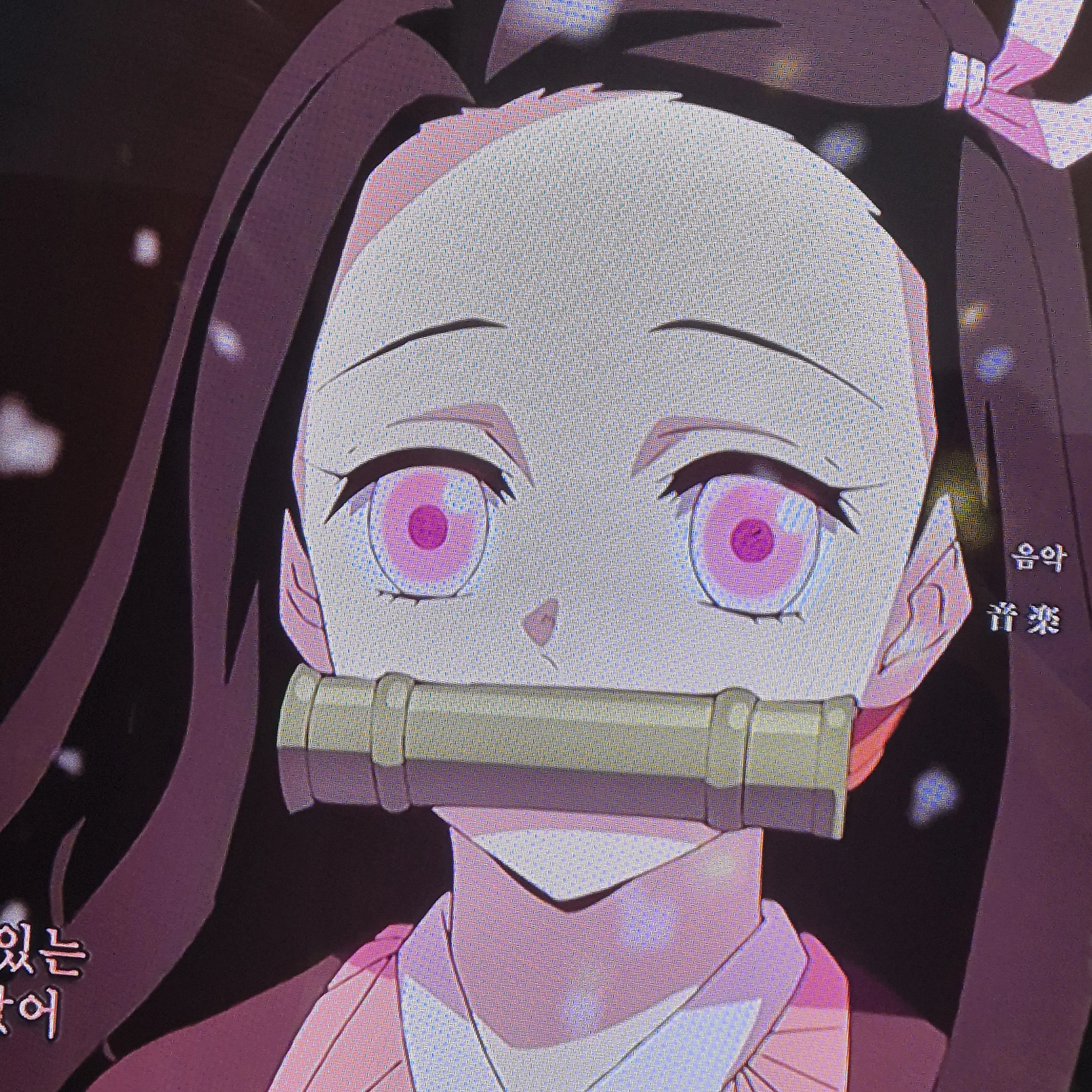 PinkBloom0804의 배가아픈내스코