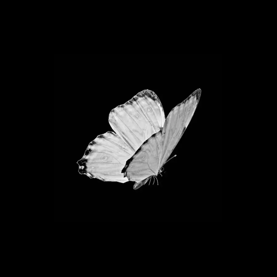 2xx_200의 殘