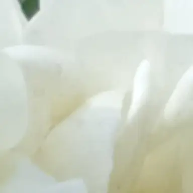 Profile image of 海里